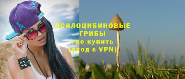 соль ск Навашино