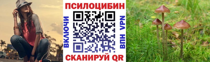 Купить закладки  Кириллов  Галлюциногенные грибы ЛСД 